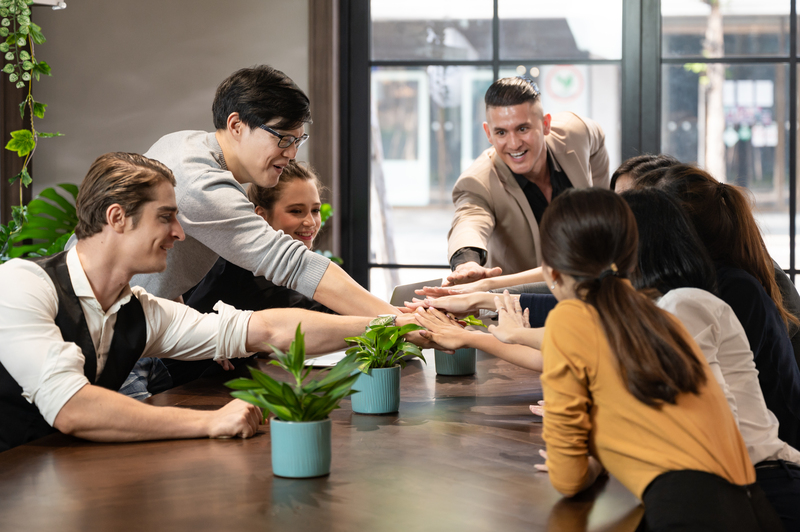 elementos fundamentais o trabalho em equipe e colaboracao