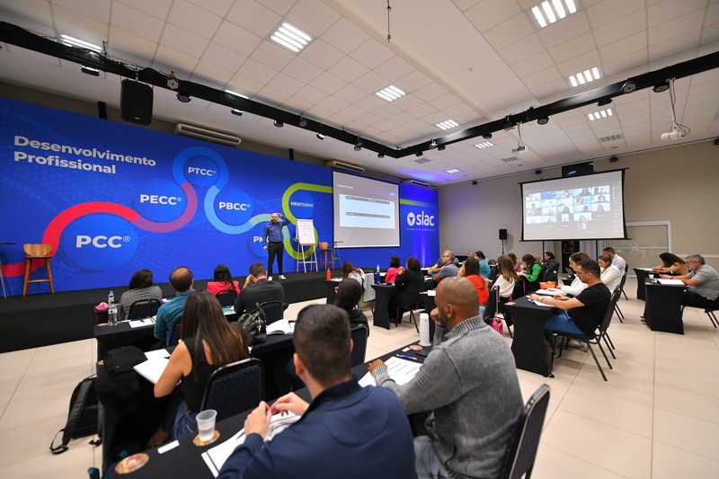 Visão geral do processo de coaching: entenda como funciona
